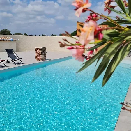 Cosy Avec Son Exterieur Chaleureux,piscine Et Parking Prive Apartment *